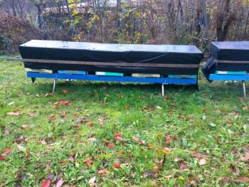 Fotografie0071-redim..jpg