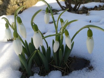 rsz_20150213_104235.jpg