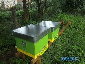 PICT0488.jpg