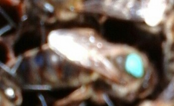 20150221_143846-1-1.jpg