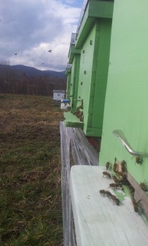 rsz_20150227_123133.jpg