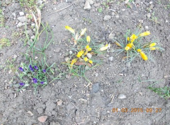 rsz_3picture_019.jpg