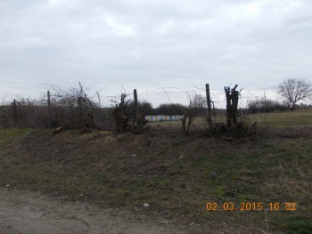 rsz_picture_037.jpg