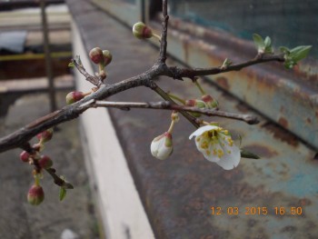 rsz_picture_014.jpg