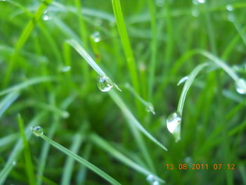 rsz_1dscn1545.jpg