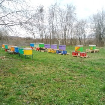 rsz_img_20150315_143844.jpg