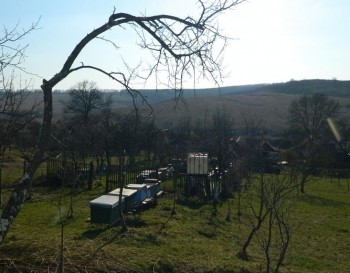 FlorineluStupinaDeal.JPG