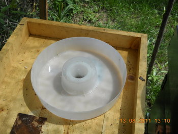 rsz_dscn1552.jpg