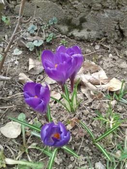 rsz_1rsz_120150318_133645.jpg