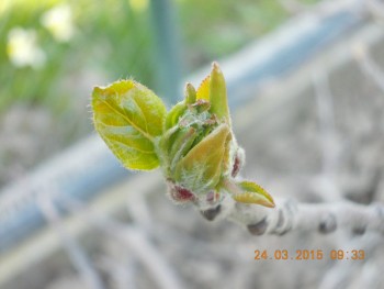 rsz_picture_011.jpg