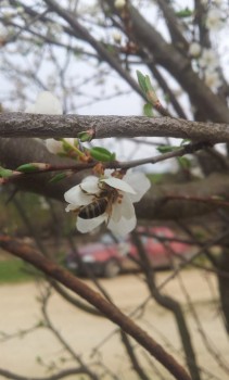 rsz_20150327_165045.jpg