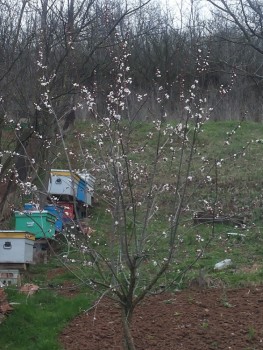 20150401_075928.jpg