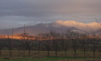 rsz_20150401_194238.jpg