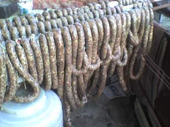 indagra 033.jpg