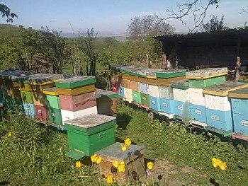 11052014684.jpg