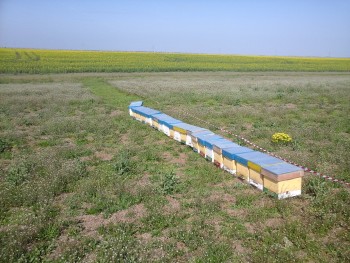 20150415_112833.jpg
