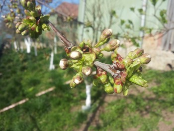 20150410_170021.jpg