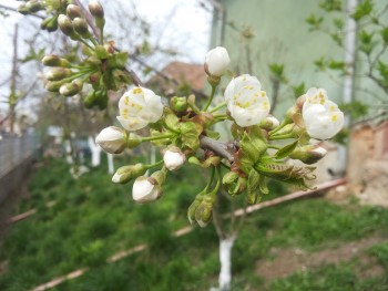 20150412_160304.jpg