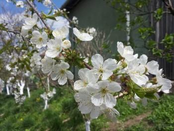 20150414_134851.jpg