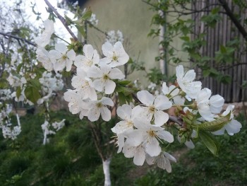 20150415_200218.jpg