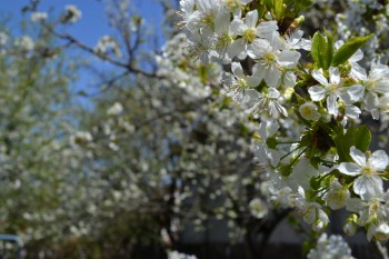rsz_1dsc_0275.jpg
