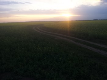 20150421_201051.jpg