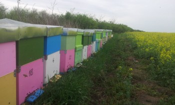 rsz_20150428_134301.jpg