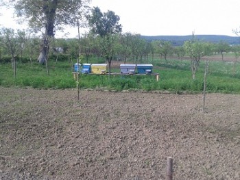 2015-05-03 16.23.16.jpg