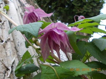 rsz_1picture_007.jpg