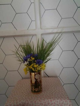 rsz_120150508_095238.jpg