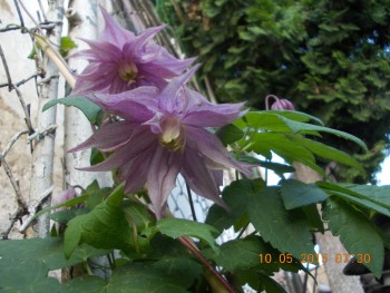 rsz_1picture_017.jpg