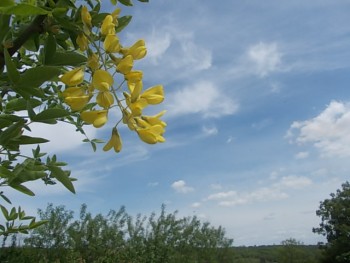 DSCN0021.JPG