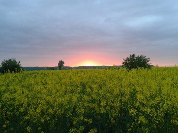 rsz_20150502_061255.jpg