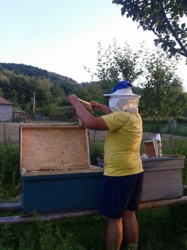 2015-05-20 19.52.04.jpg