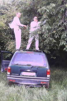 cirese la salcam.jpg
