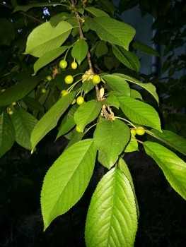 20150521_205827.jpg