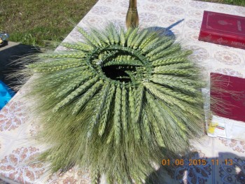 rsz_1picture_004.jpg