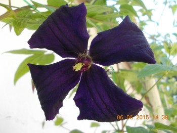 rsz_1picture_024.jpg
