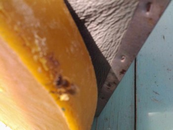 rsz_20150618_130138.jpg