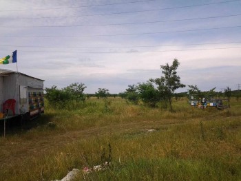 rsz_20150618_130541.jpg