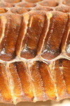 cuibul_clip_image002.jpg