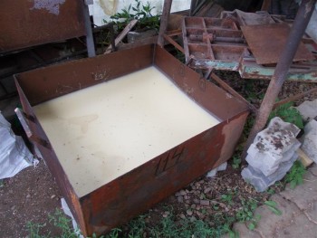 cata 2140 (Medium).jpg