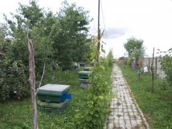 cata 2155 (Medium).jpg