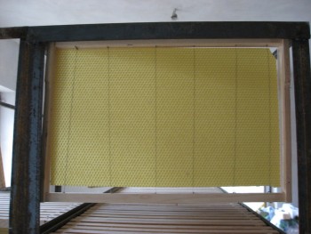 rsz_img_1982.jpg