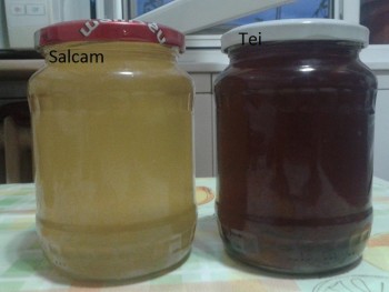 miere-mana-tei.jpg