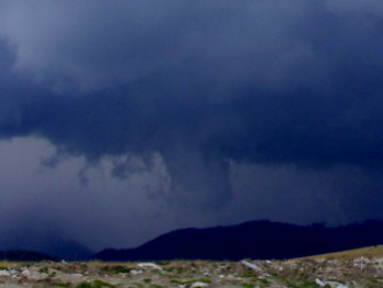 14082011488.jpg