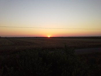 rsz_20150703_212855.jpg