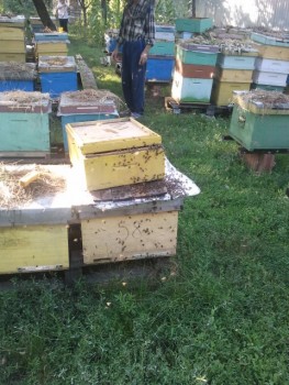 2015-07-17 19.04.15.jpg