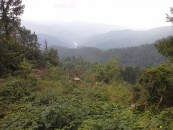 rsz_20150726_161104.jpg