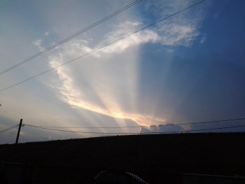 rsz_20150730_201543.jpg